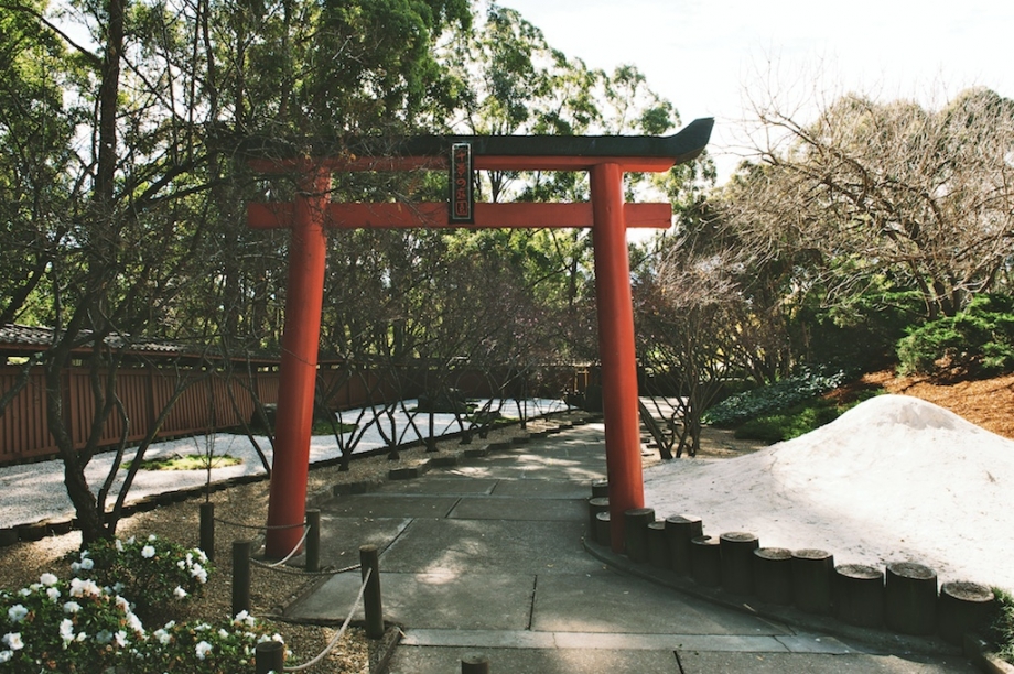 Japanese garden in Auburn